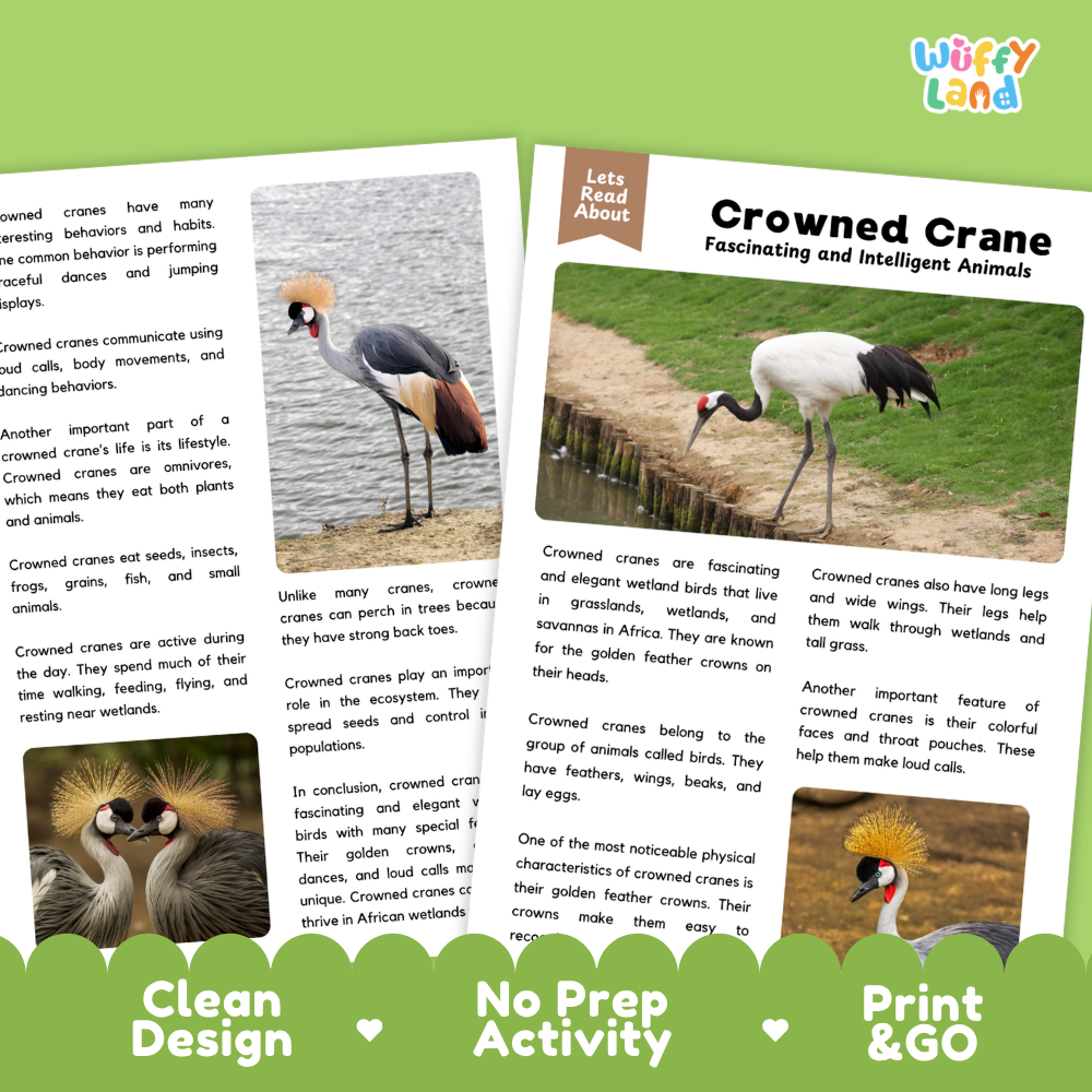 Crowned Crane Reading Passage and Comprehension Questions Worksheets with Answer Key