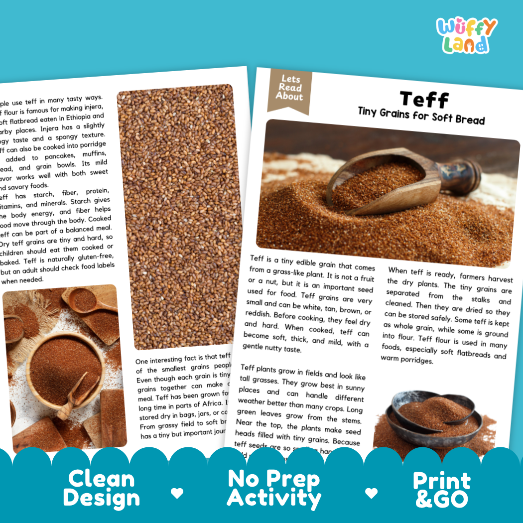 Teff Reading Passage and Comprehension Questions Worksheets with Answer Key