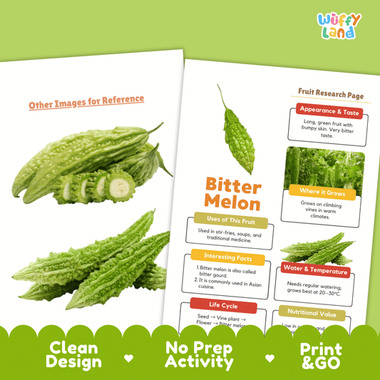 Bitter Melon Science Activity | Vegetable Research Project | Healthy Eating