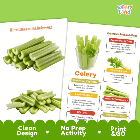 Celery Research Project | Vegetable Science Activity | Plant Study | Food Nutrit
