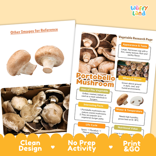 Portobello Mushroom Vegetable Research Activity Worksheet Healthy Eating Science
