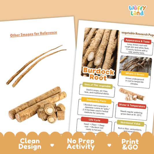 Burdock Root Gobo Vegetable Research Activity Worksheet Healthy Eating Japan