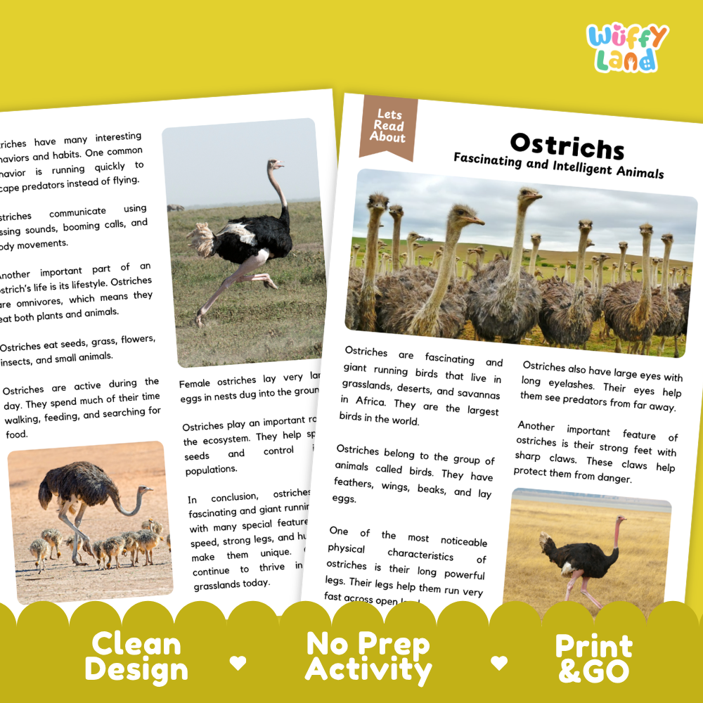 Ostrich Reading Passage and Comprehension Questions Worksheets