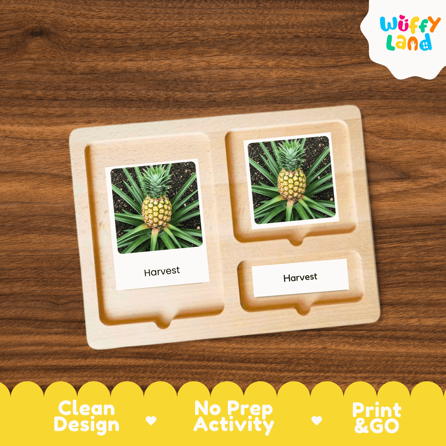 Pineapple Life Cycle Montessori 3-Part Cards - Science Botany Flashcards