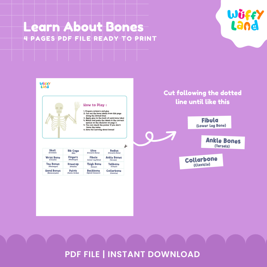 Learn About Bones - Human Skeleton Labeling Activity - Fun Science Worksheets
