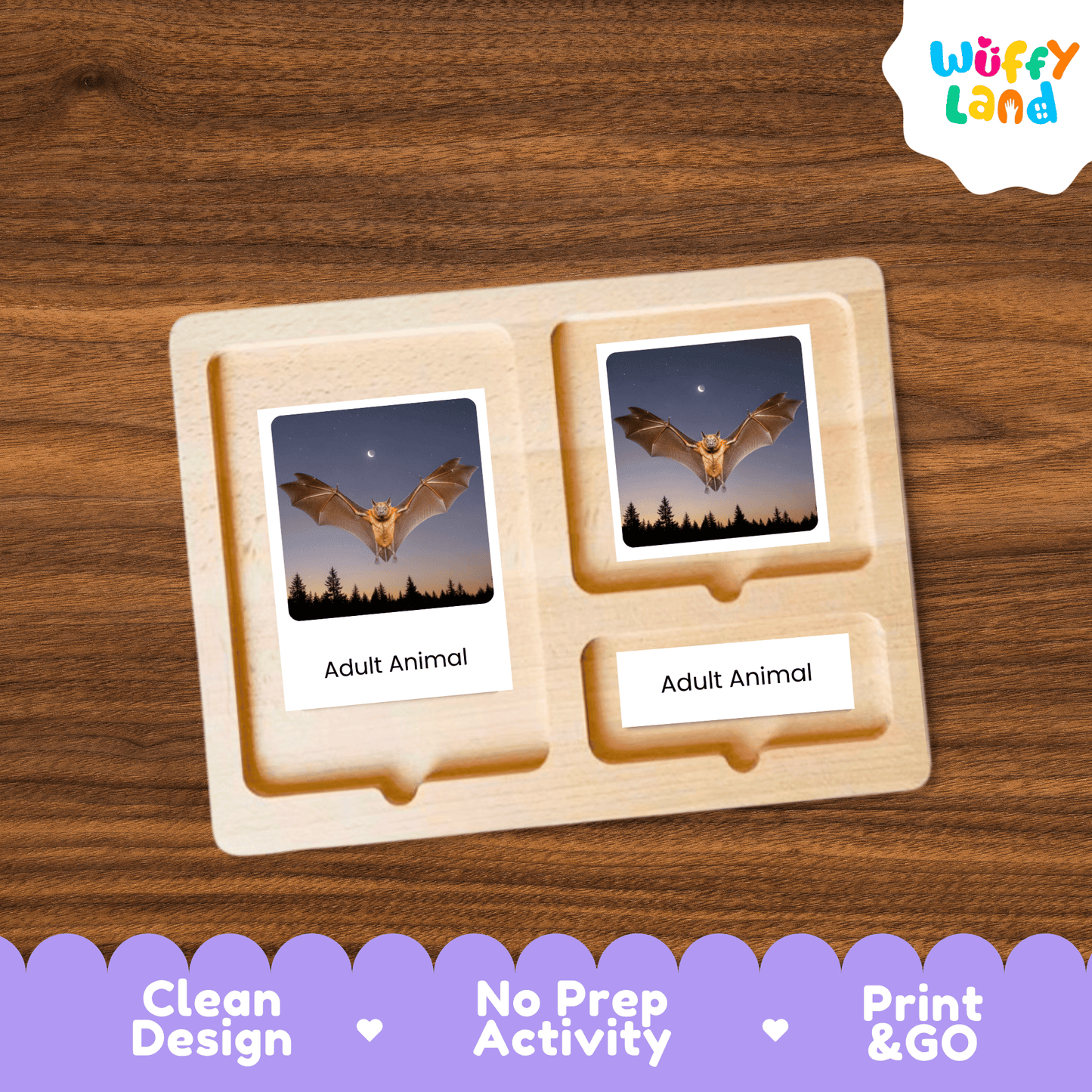 Bat Life Cycle Montessori 3-Part Cards - Science Zoology Mammal Flashcards