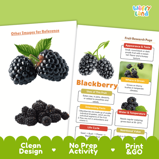 Blackberry Science Activity | Fruit Research Project | Biology | Nature Study