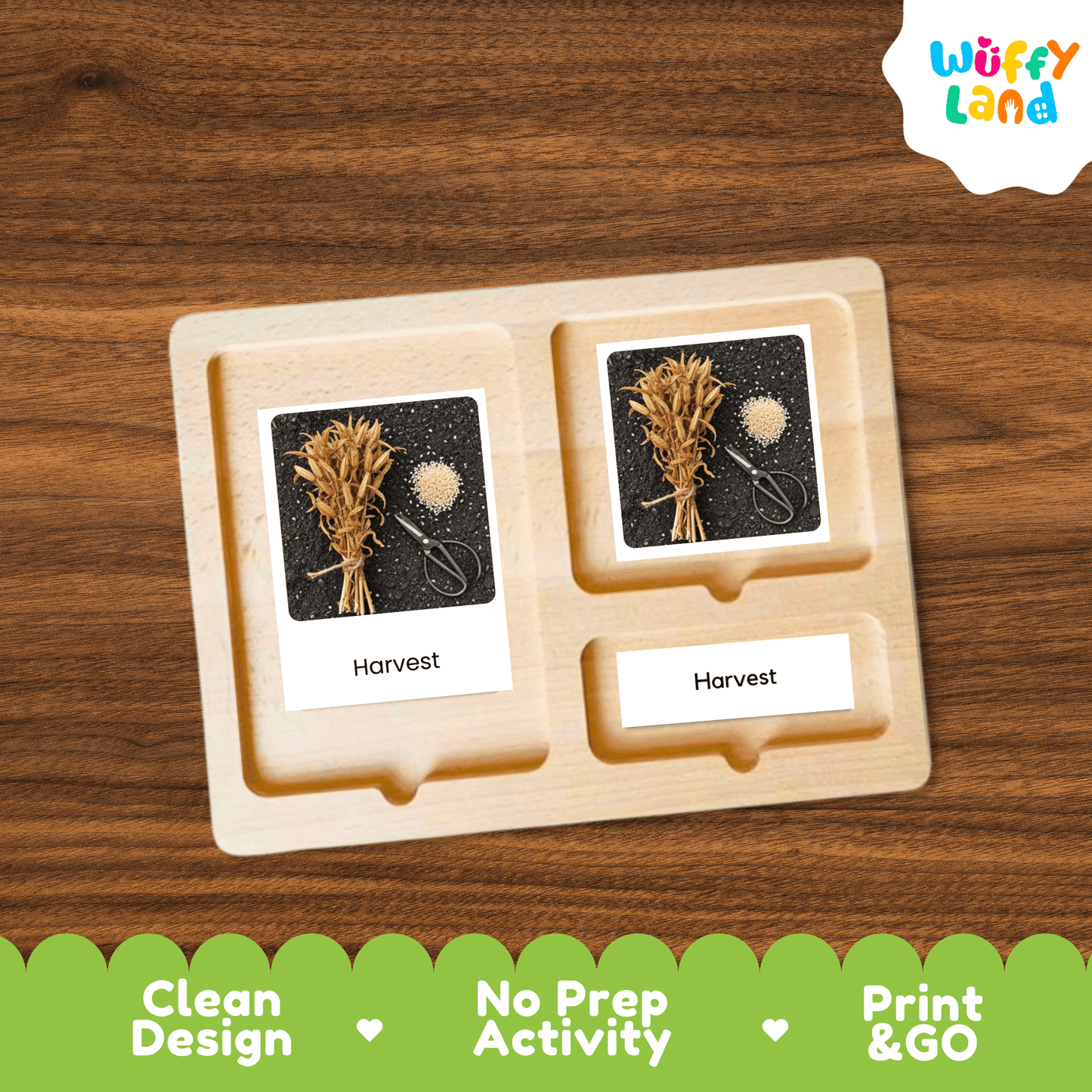 Sesame Life Cycle Montessori 3-Part Cards - Science Botany Flashcards