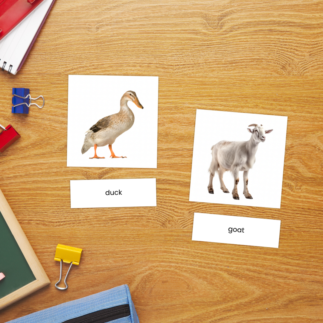Kartu Flash Kosakata Hewan Ternak Kartu Foto Gambar Montessori Kartu 3 Bagian