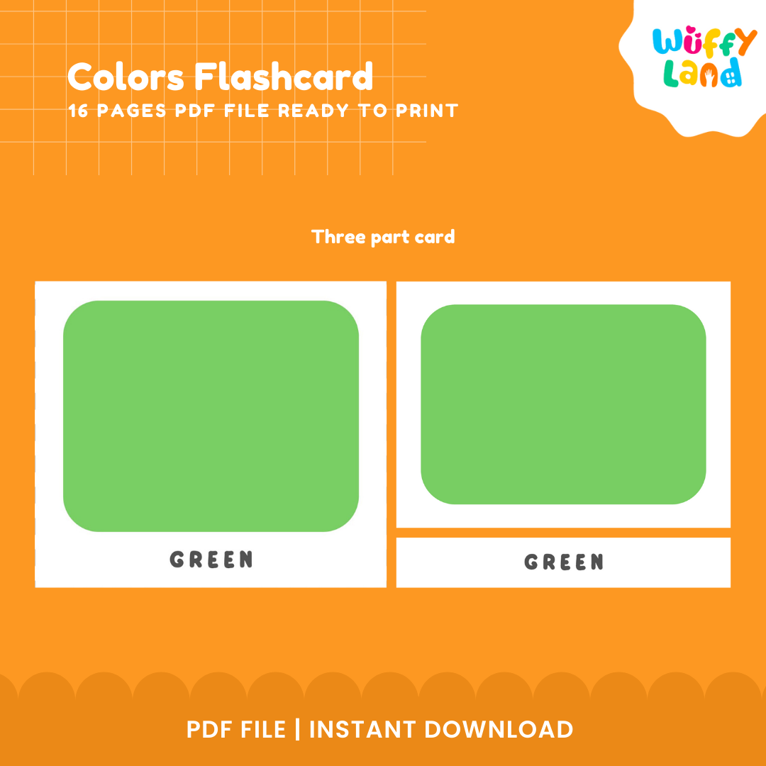 Color Flashcard