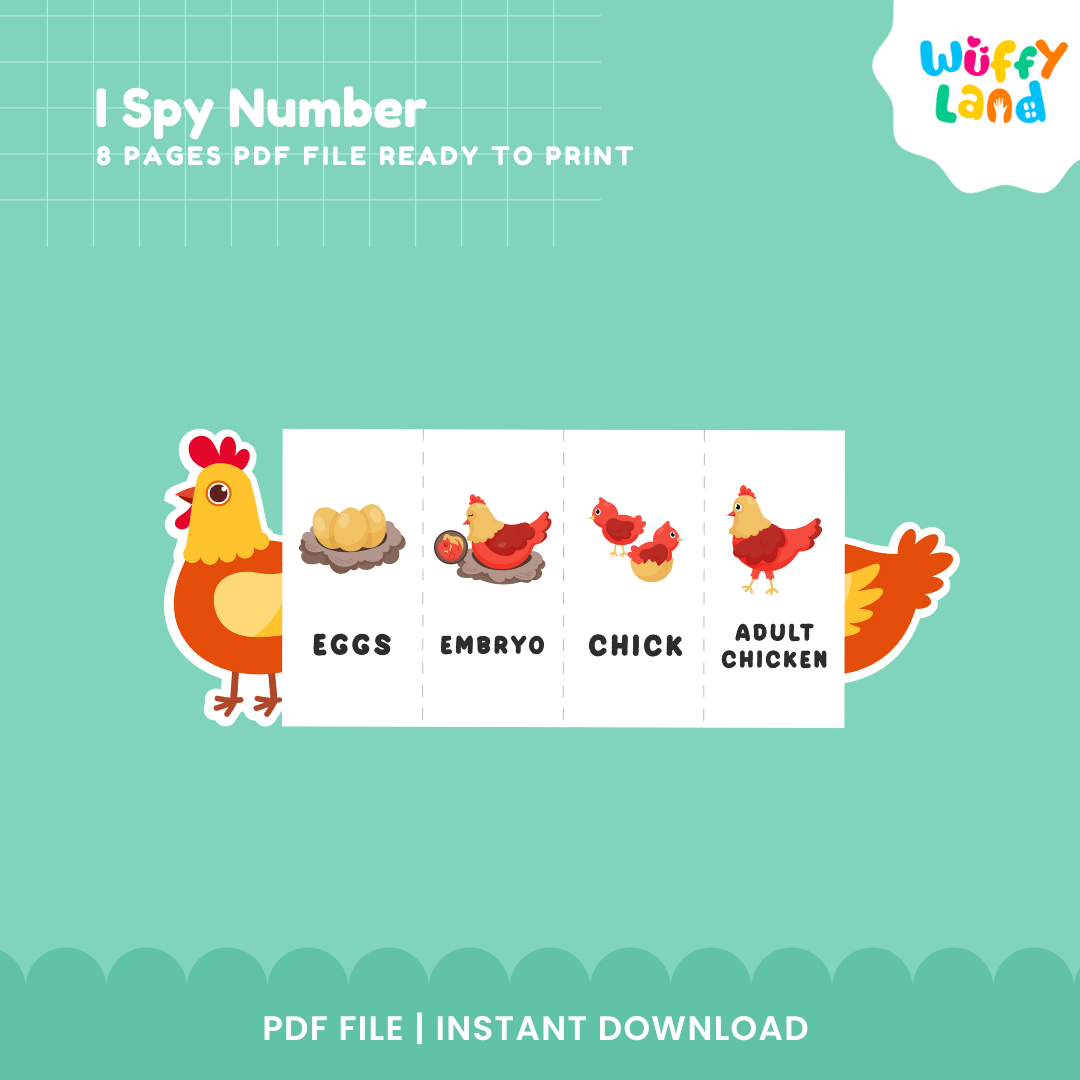 Chicken Life Cycle Printable - Educational Activity for Kids