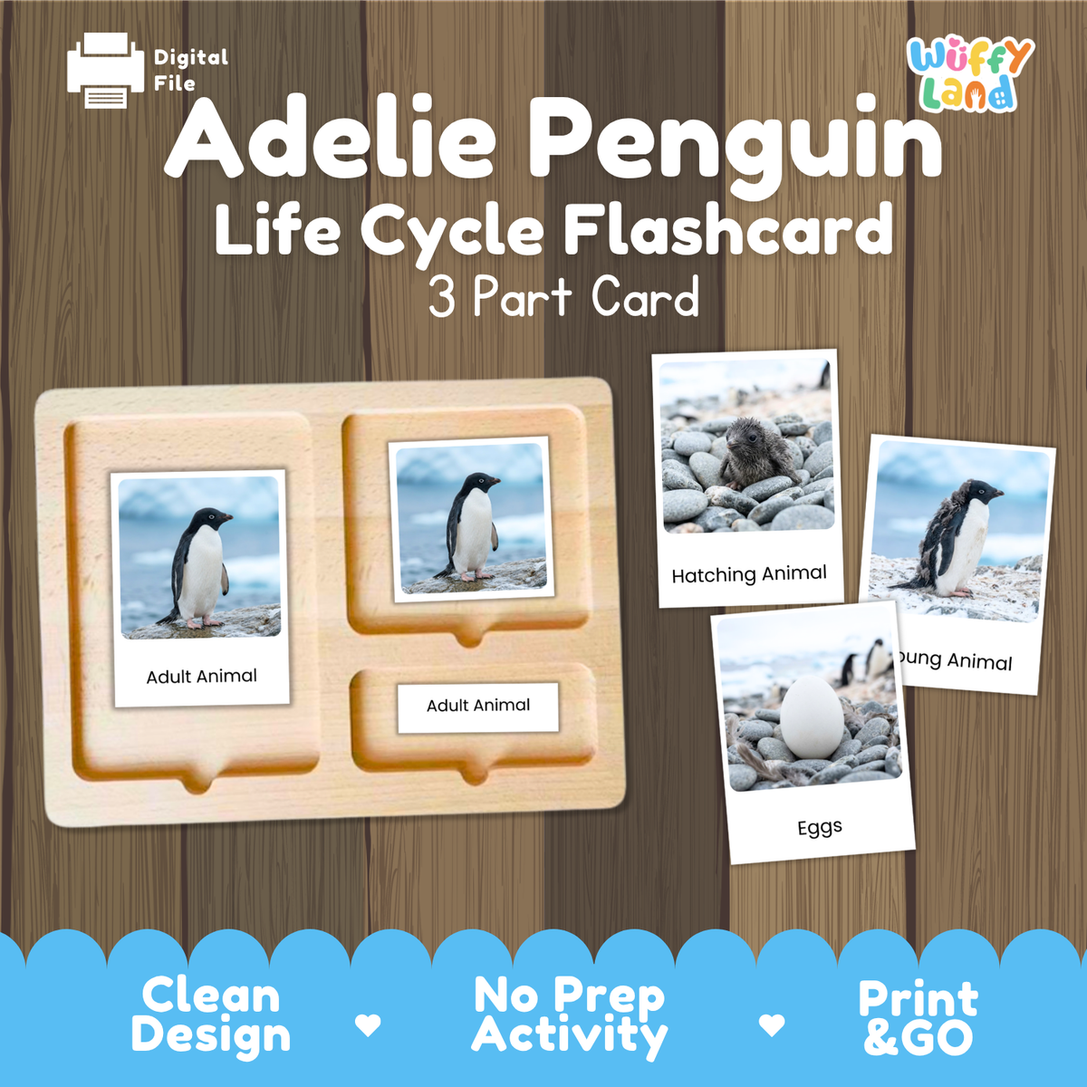 Montessori 3-part photo cards for penguin life cycle shown on wooden tray paired with animal research report worksheets and reference photo page