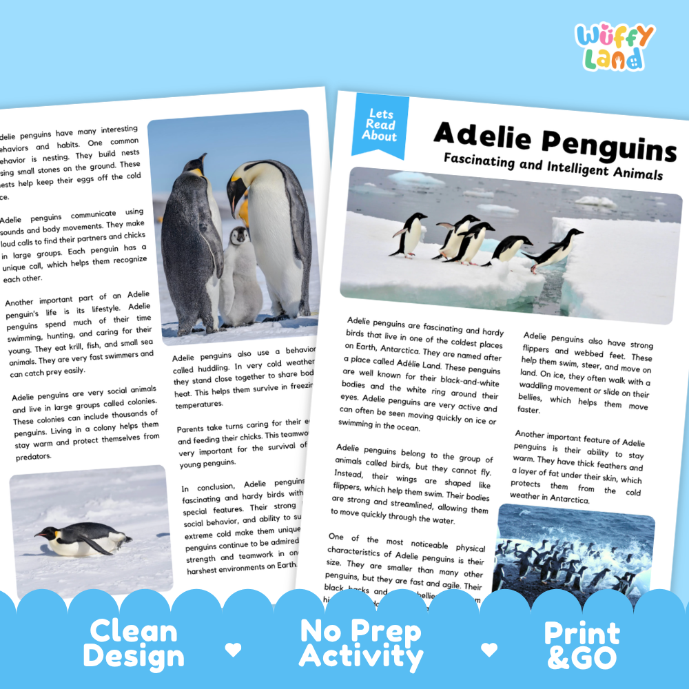 Three printed educational activity sheets about Adelie penguins arranged on a white background. The sheets include photos of penguins, text headings like 'Adelie Penguins Fascinating and Intelligent Animals,' and promotional callouts reading 'Clean Design,' 'No Prep Activity,' and 'Print & Go.