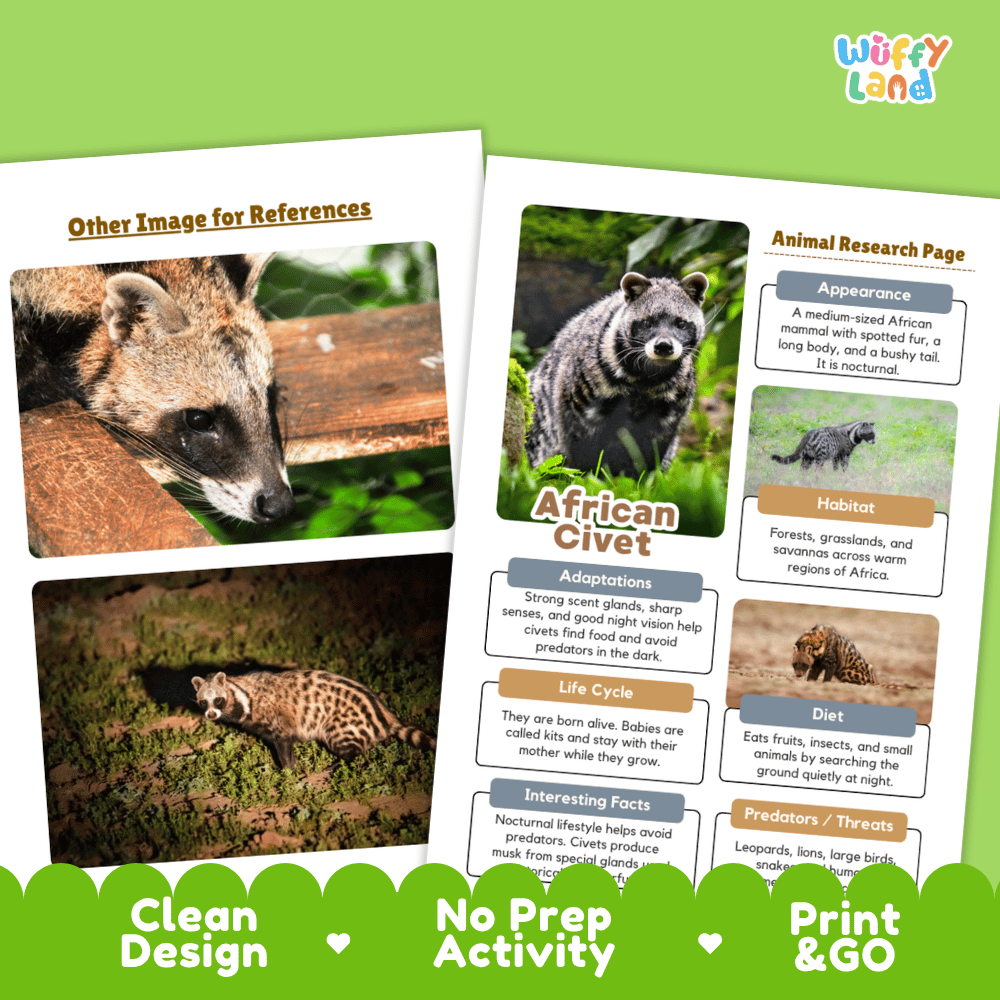 African Civet Animal Research Page and Worksheets