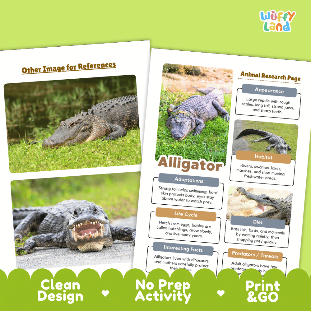 Alligator Animal Research Page Worksheets