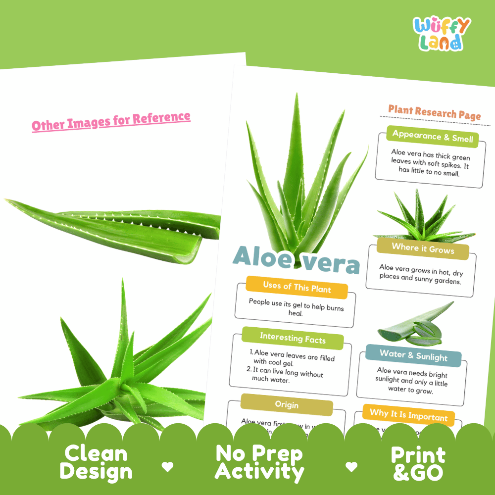 Aloe Vera Plant Research Page Worksheets