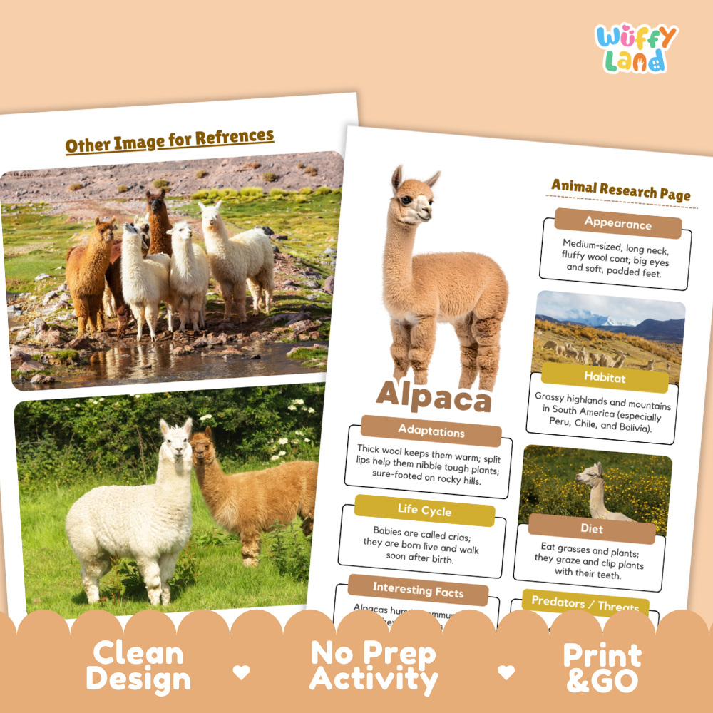 Alpaca Animal Research Project Worksheets and Fact Sheet