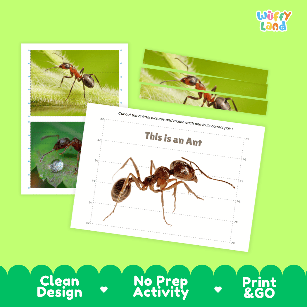 Ant Cut and Match Activity Printables Worksheets