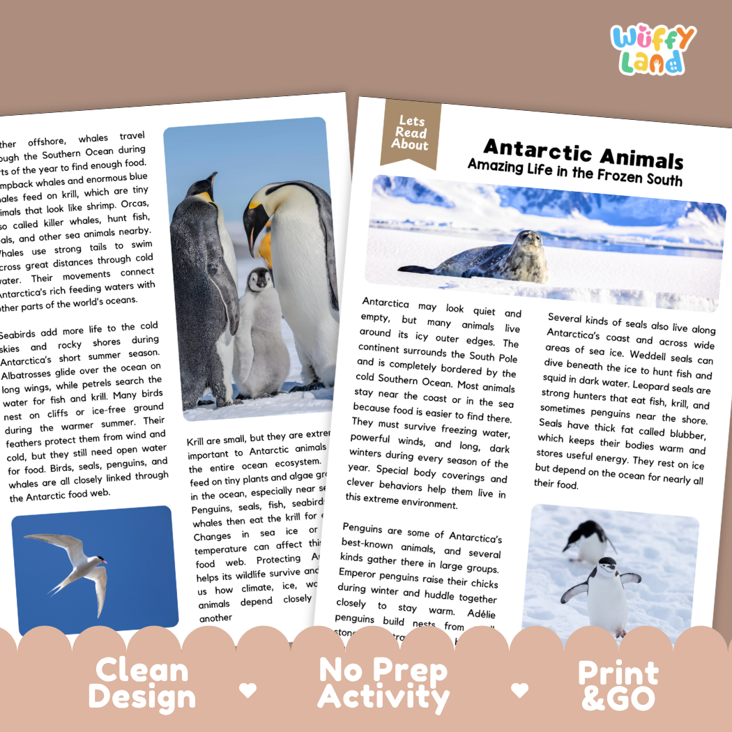 Teacher answer key page showing complete question solutions for Antarctic animals science reading comprehension practice