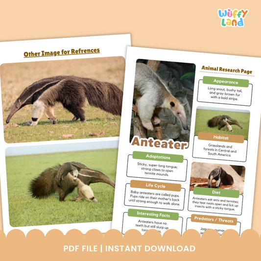 Anteater Animal Research Project printable worksheet set designed for kids to explore facts about anteaters. Includes templates for drawing, writing about appearance, habitat, diet, adaptations, and life cycle, as well as reference images of anteaters. Perfect for classroom animal studies, science centers, or homeschool research projects.
