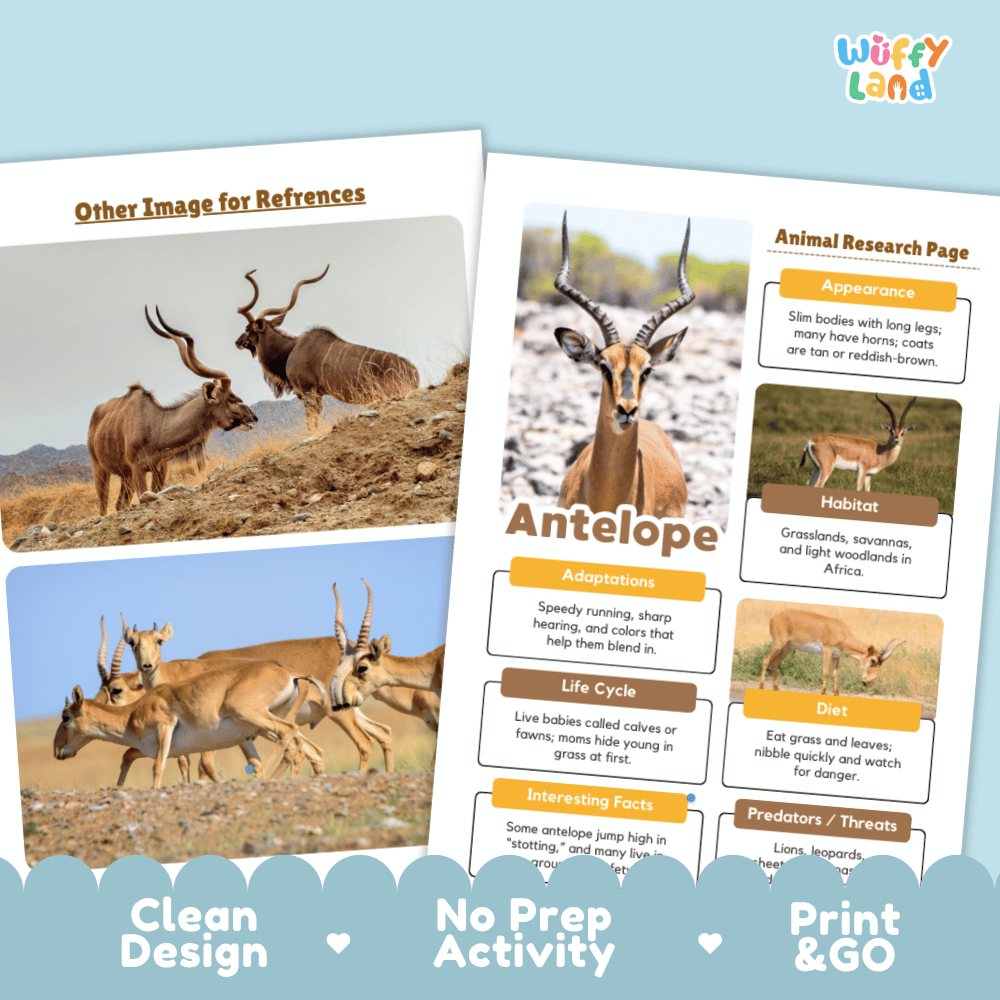 Educational animal activity sheet set featuring antelope and gazelle research pages with labeled sections on appearance, habitat, adaptations, life cycle, diet, and interesting facts, shown on a light blue background with 'Wuffy Land' branding.