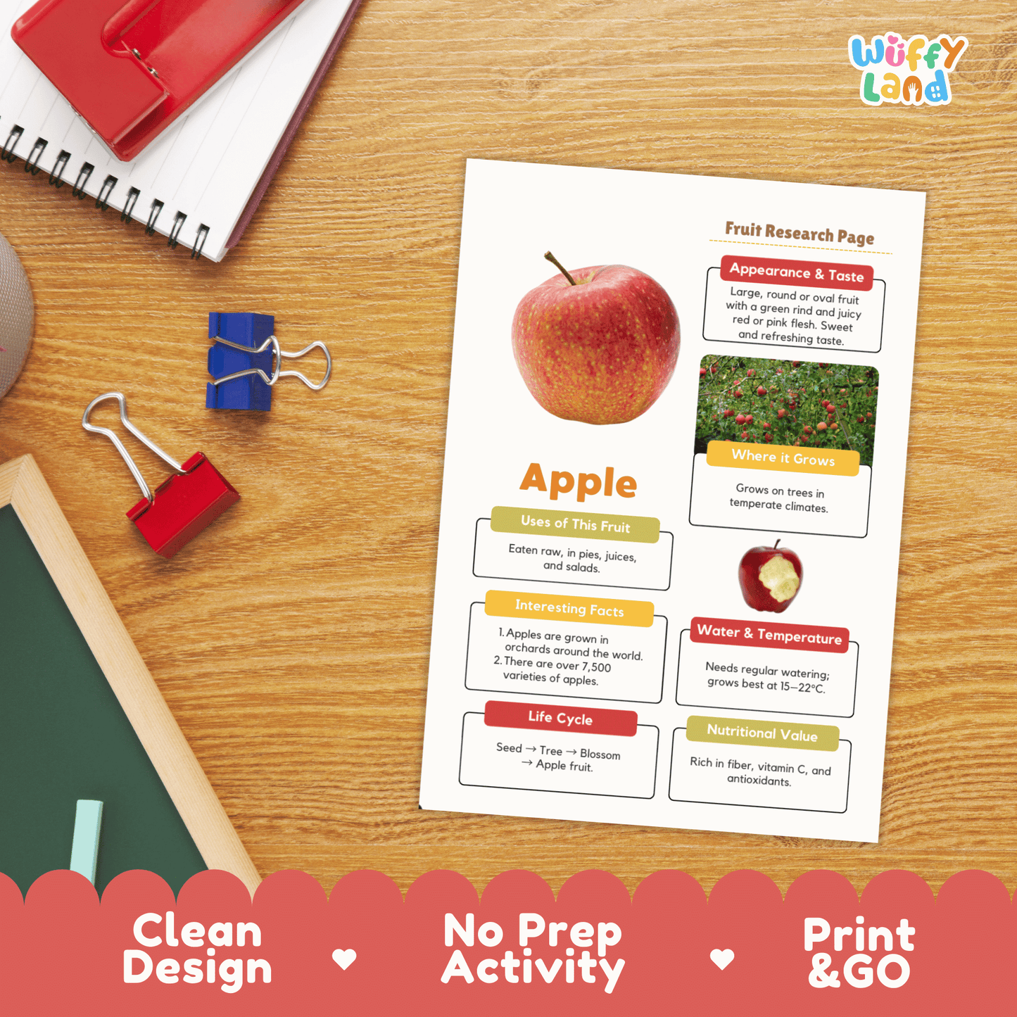 Apple Fruit Research Project | Healthy Eating Science | Life Cycle Activity