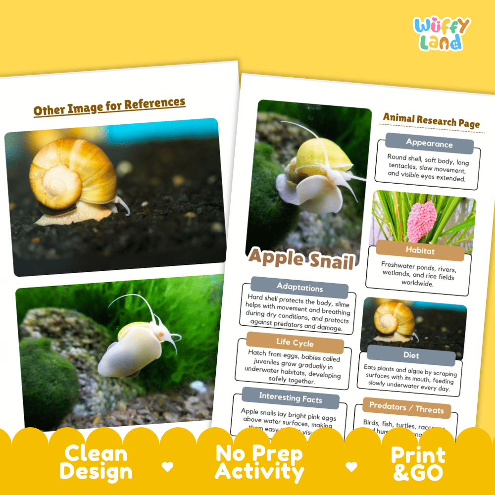 Apple Snail Animal Research Page and Worksheets
