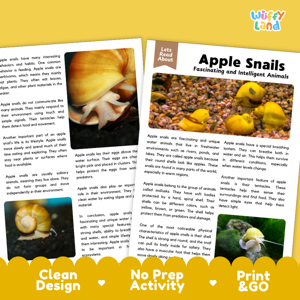 Apple Snails Reading Passage and Comprehension Questions with Answer Key