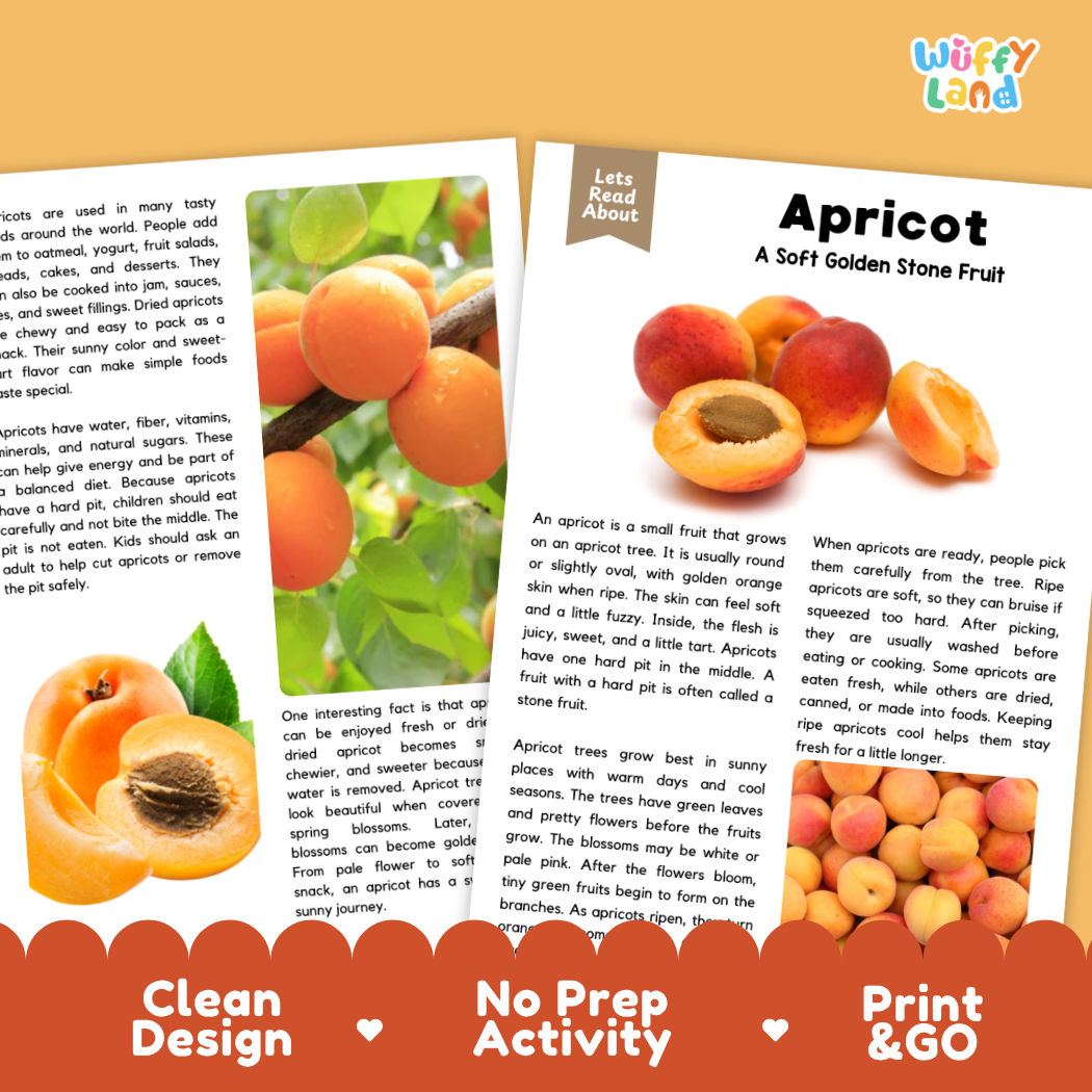 Teacher answer key page showing complete question solutions for Apricot nature and science reading comprehension practice
