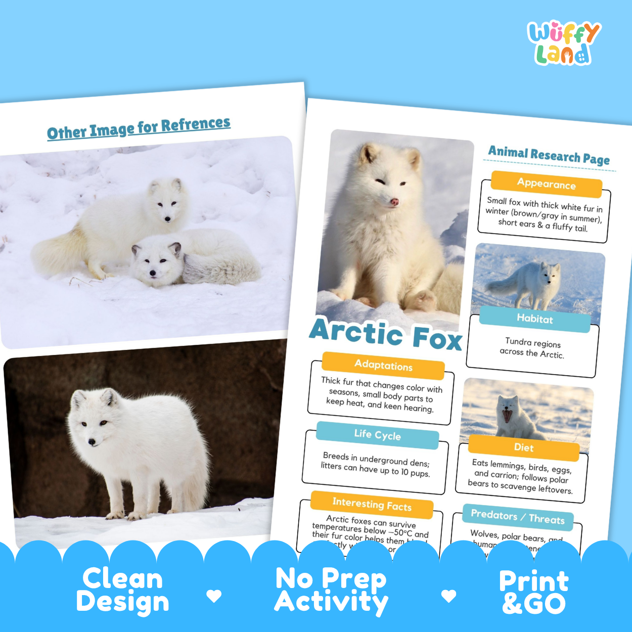 Arctic Fox Animal Research Page Worksheets