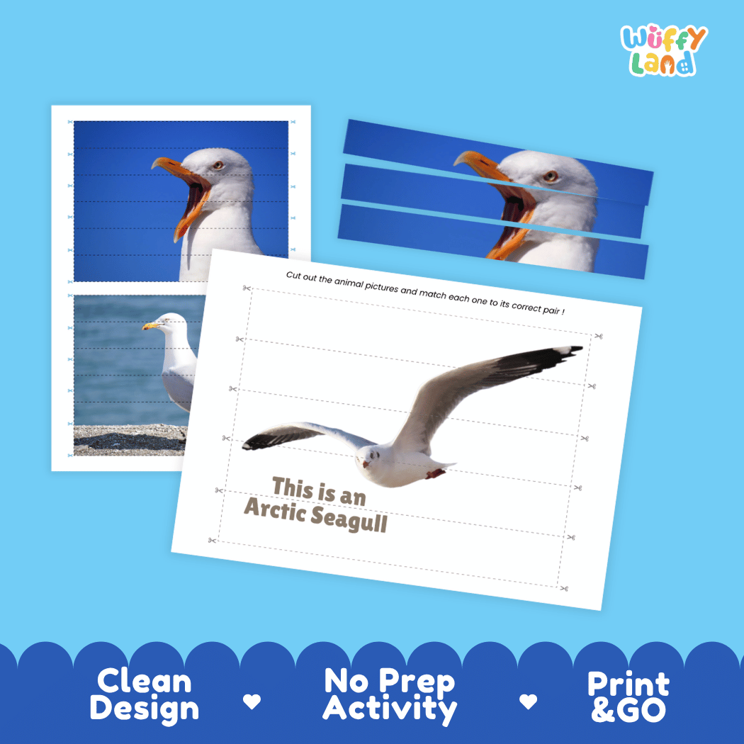 Arctic Seagull Cut and Match Activity Worksheets