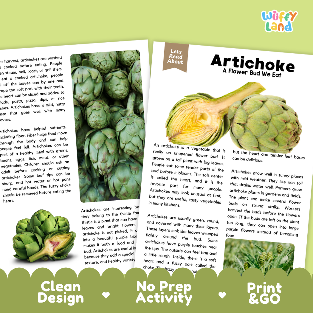 Teacher answer key page showing complete question solutions for artichoke reading comprehension practice
