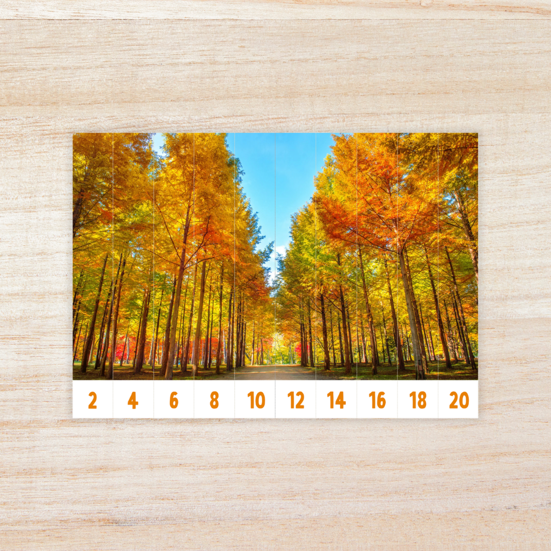 Educational printable set titled “Skip Counting Puzzles” featuring an autumn theme with real pictures. The puzzles include images of apples, acorns, squirrels, and colorful fall trees. Each strip is numbered for skip counting by 2, 3, 4, 5, 6, 7, 8, 9, and 10. The text highlights “Autumn Theme with Real Picture” and “10 Images,” designed for hands-on math practice and seasonal learning fun.