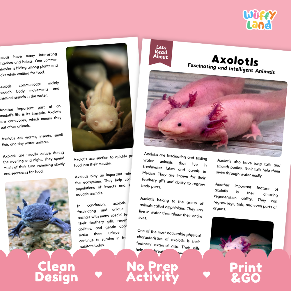Axolotl Reading Passage and Comprehension Questions Worksheets