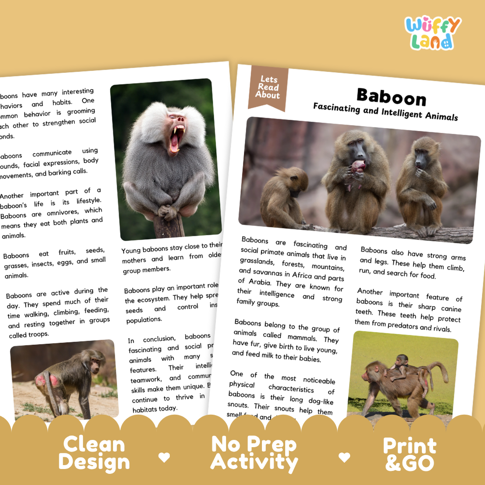Baboon Reading Passage and Comprehension Questions with Answer Key Worksheets