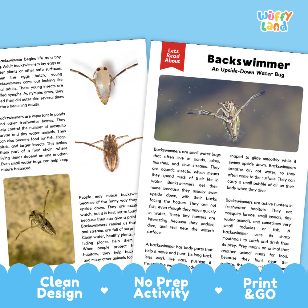 Backswimmer Reading Passage and Comprehension Questions with Answer Key