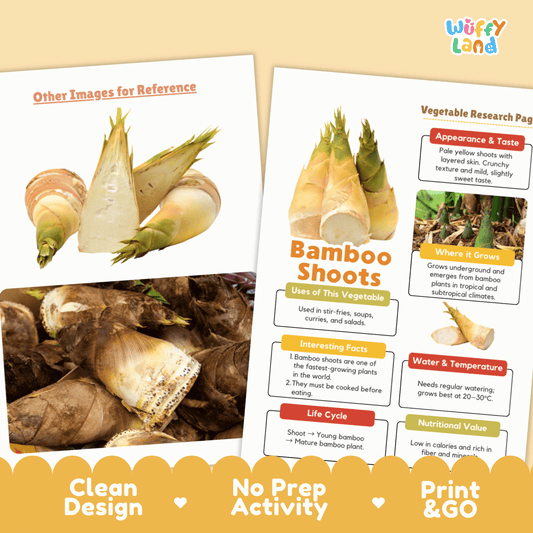 Bamboo Shoots Research Activity Worksheet Science Vegetable Asian Food Plant Cycle