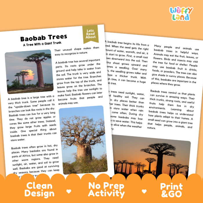 Baobab Tree Plant Reading Passages and Comprehension Questions Worksheets