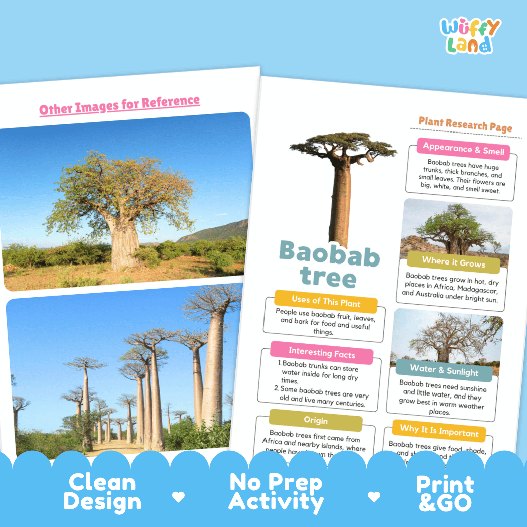 Baobab Tree Plant Research Page Worksheets and Graphic Organizers