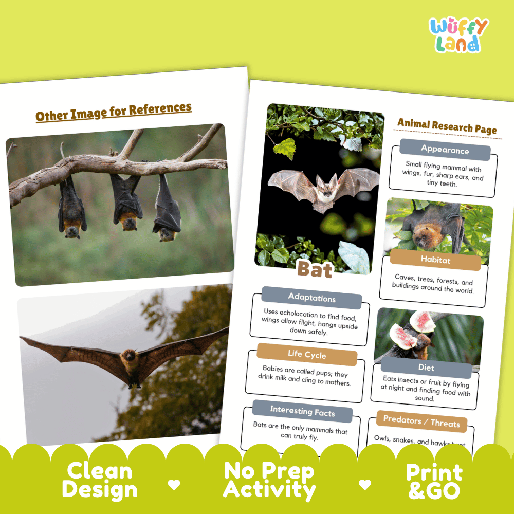Bat Animal Research Page Worksheets