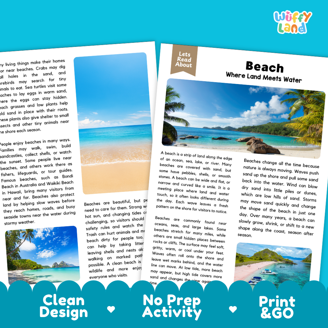 Beach Reading Passage and Comprehension Questions with Answer Key Worksheets