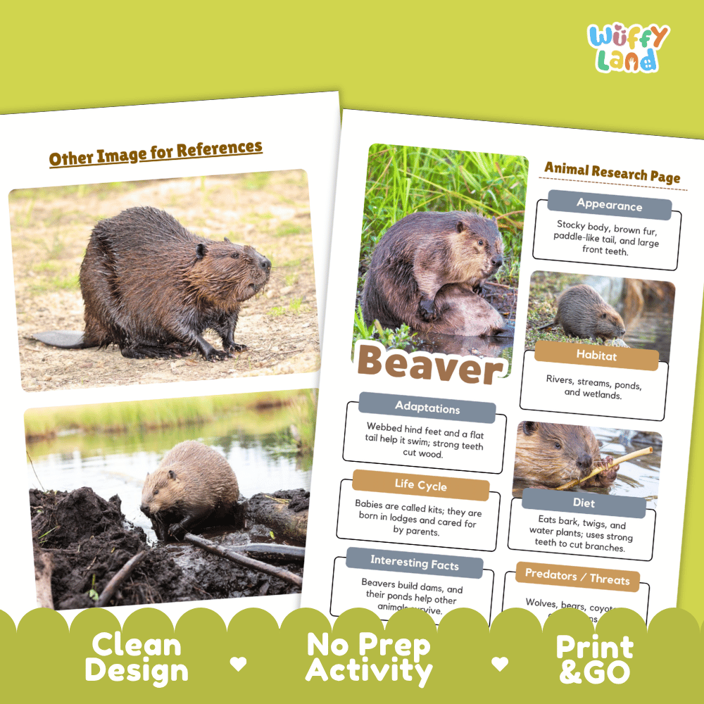 Beaver Animal Research Page Worksheets