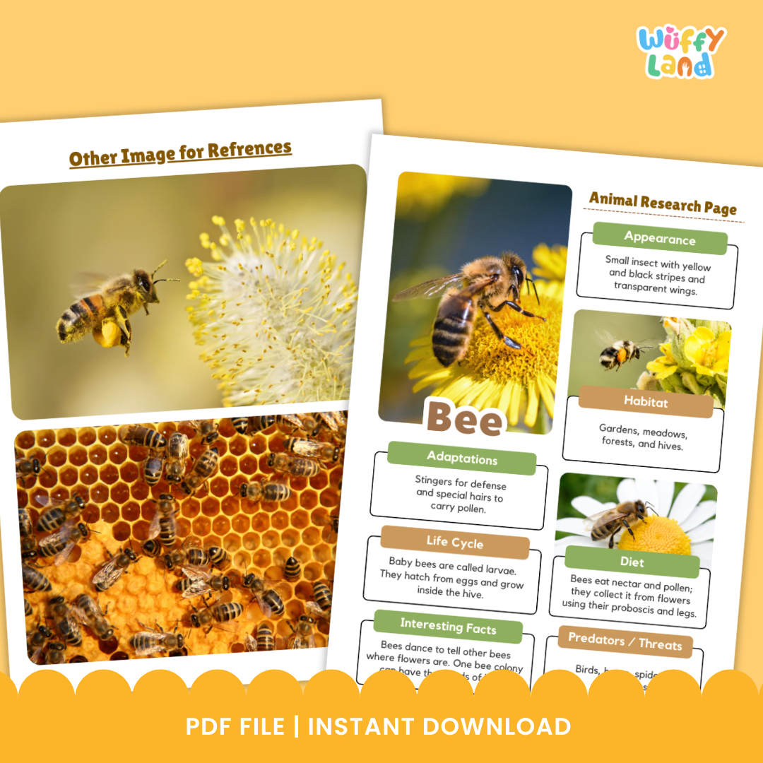 Classroom printable pack titled “Bee Animal Research Project” displayed on a wooden background. The set includes photo reference pages showing bees on flowers and honeycombs, along with black-and-white worksheets for students to record information about bees’ appearance, habitat, diet, life cycle, adaptations, and threats. The worksheets include spaces for writing, drawing, and listing interesting facts.