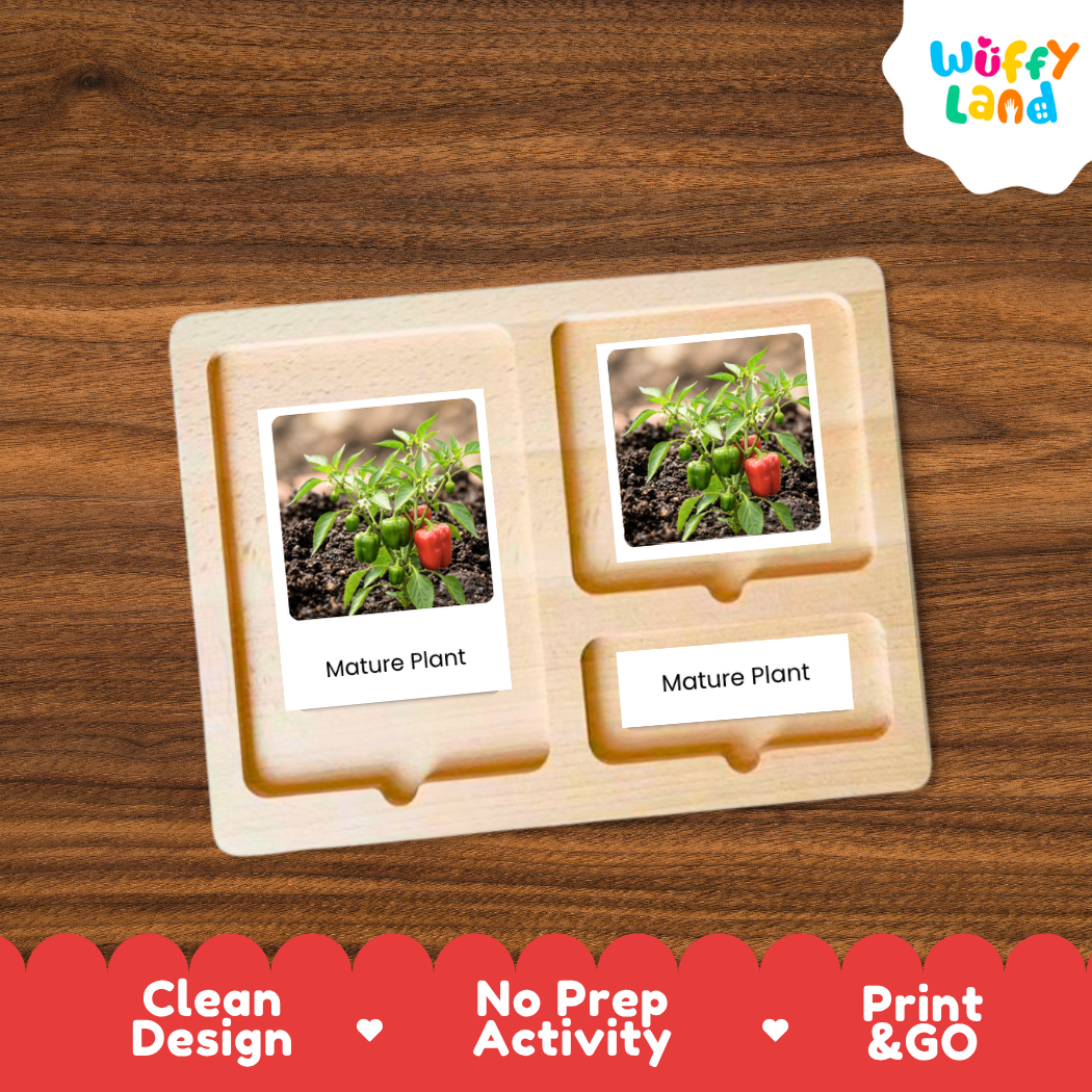 A wooden Montessori-style activity board with two labeled slots reading 'Mature Plant,' each holding a small printed photo of a plant in soil. The board is shown on a brown wood surface, with a white 'Wuffy Land' logo in the top right and a red banner at the bottom with the text 'Clean Design,' 'No Prep Activity,' and 'Print & GO.