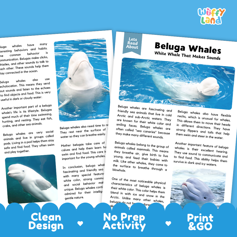 Beluga Whales Reading Passage and Questions Worksheets with Answer Key