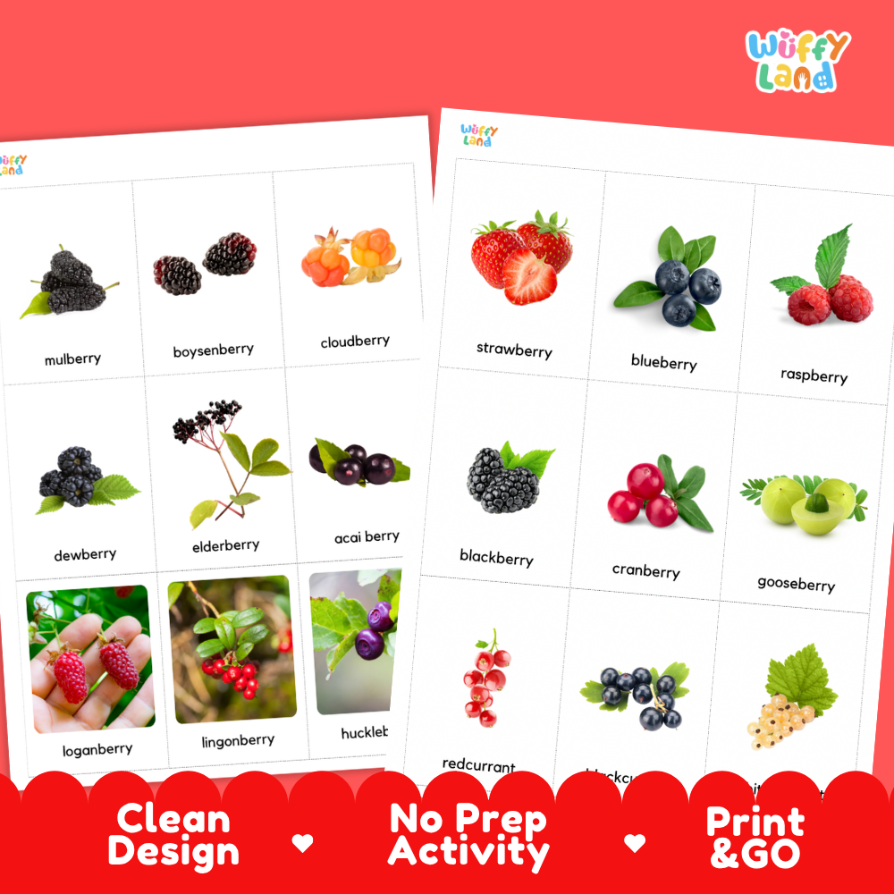 Two printable activity sheets from Wiffy Land featuring labeled berry and fruit illustrations on a red promotional background. The sheets include photos of berries and fruits such as mulberry, boysenberry, cloudberry, strawberry, blueberry, raspberry, dewberry, elderberry, acai berry, blackberry, cranberry, gooseberry, logberry, lingonberry, huckleberry, and redcurrant, with text badges reading Clean Design, No Prep Activity, and Print & Go.