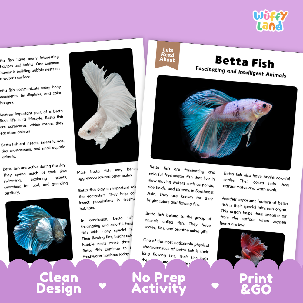 Betta Fish Reading Passage and Comprehension Questions with Answer Key