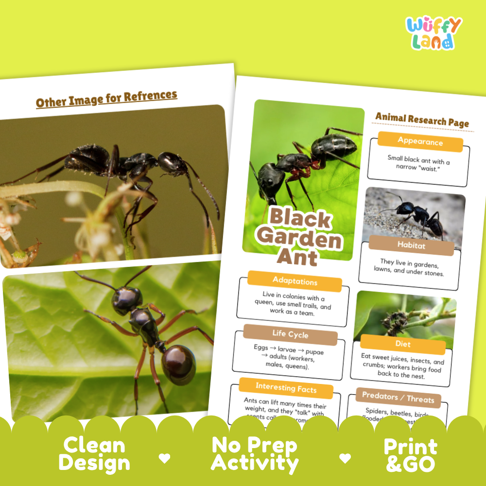 Black Garden Ant Animal Research Page Worksheets