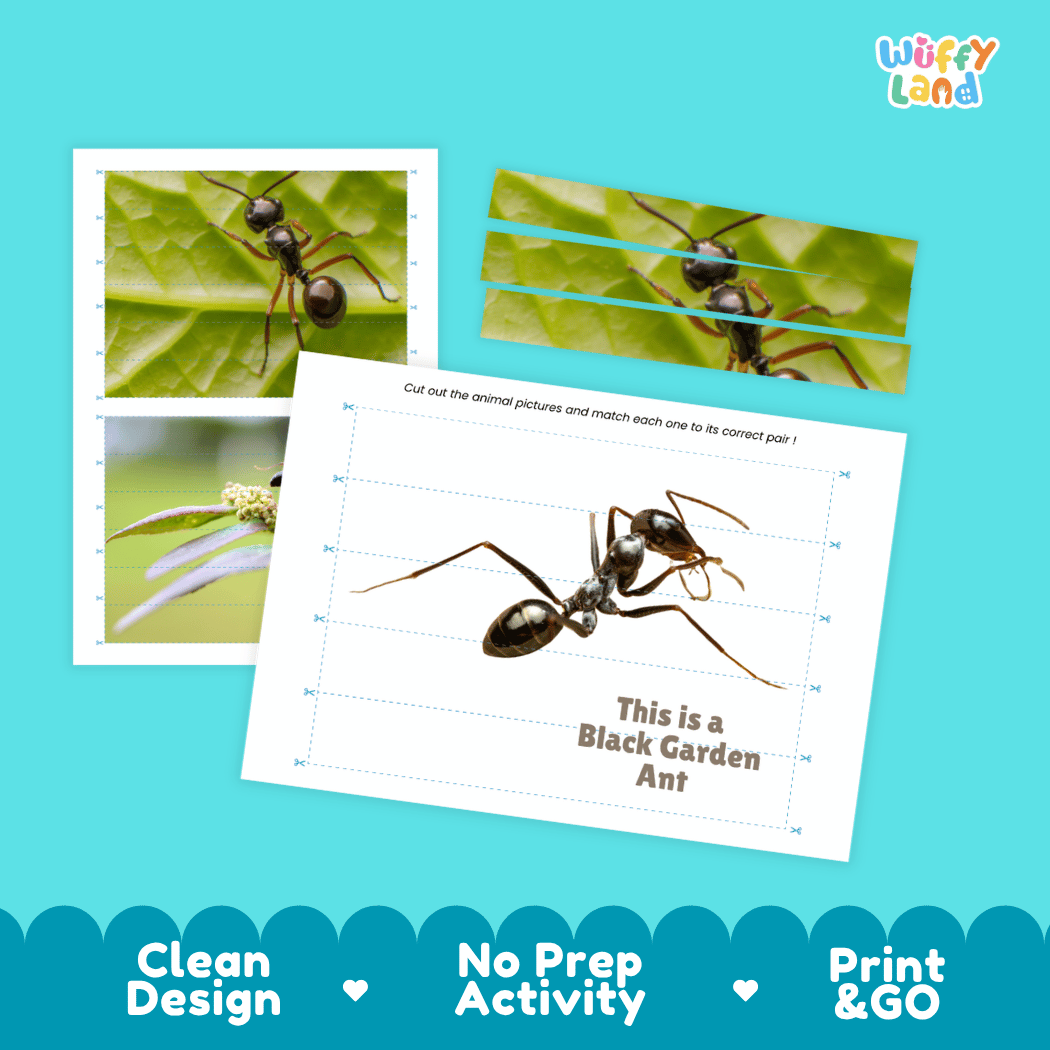 Black Garden Ant Cut and Match Activity Printables Worksheets