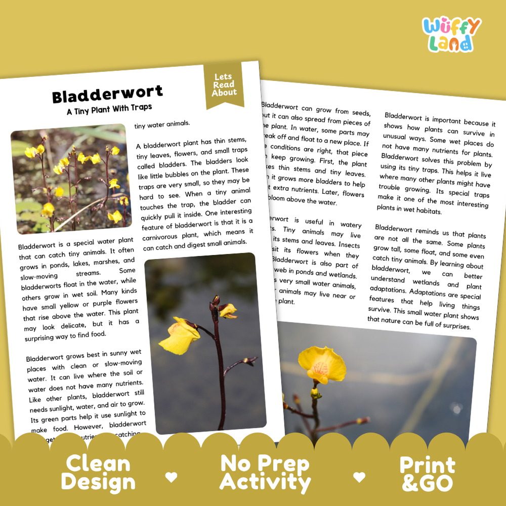 Bladderwort Plant Reading Passages Worksheets and Comprehension Activity